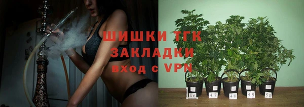 твердый Белокуриха