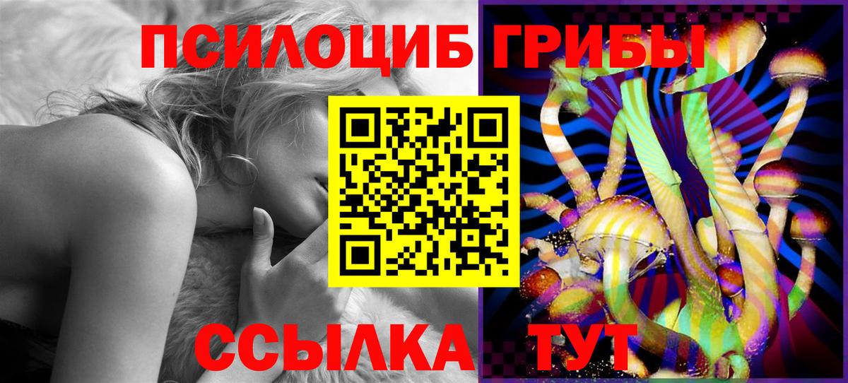 Галлюциногенные грибы Psilocybine cubensis Бийск