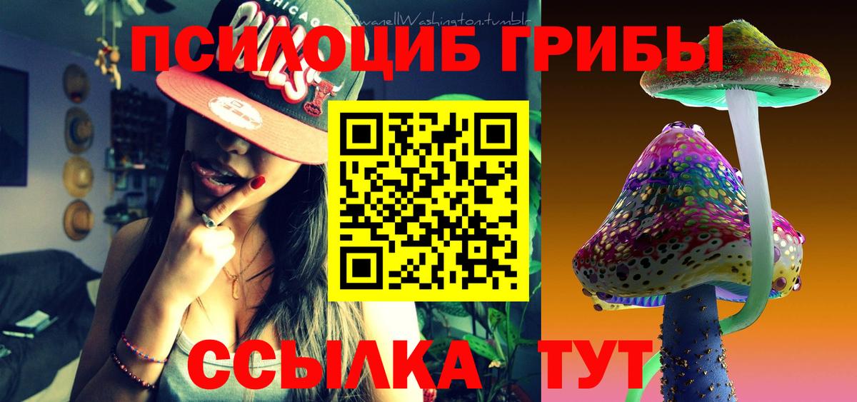 Бийск  Галлюциногенные грибы MAGIC MUSHROOMS  Вход с VPN 