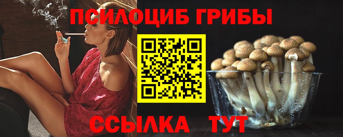 Галлюциногенные грибы GOLDEN TEACHER Бийск